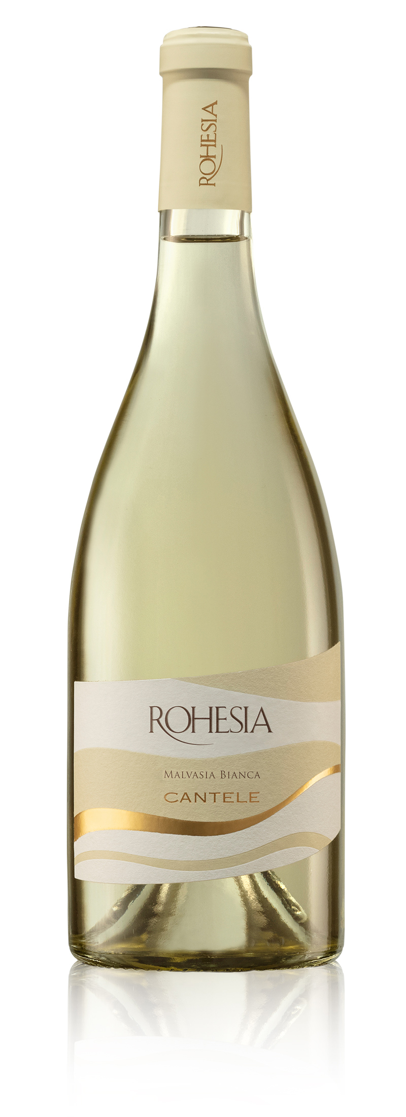 White Rohesia Malvasia